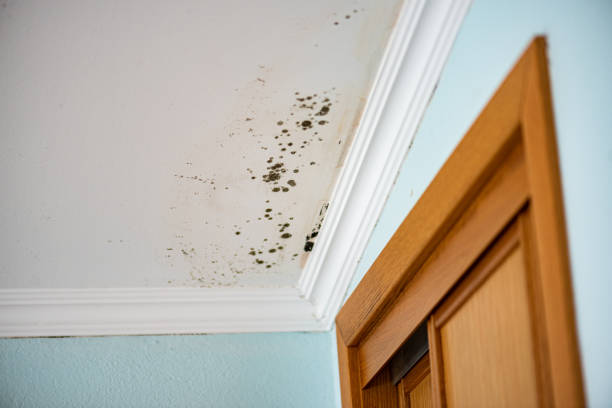 Water Damage Restoration in Thompson Falls, MT