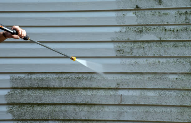 Best Office Mold Removal Services  in Thompson Falls, MT