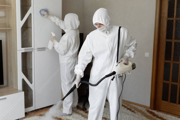 Best Attic Mold Removal  in Thompson Falls, MT