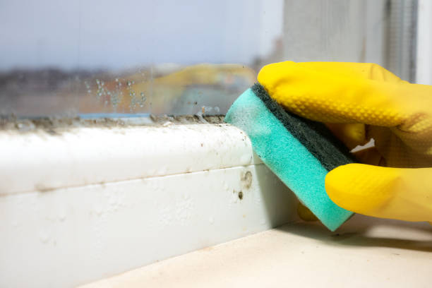 Water Damage Restoration in Thompson Falls, MT