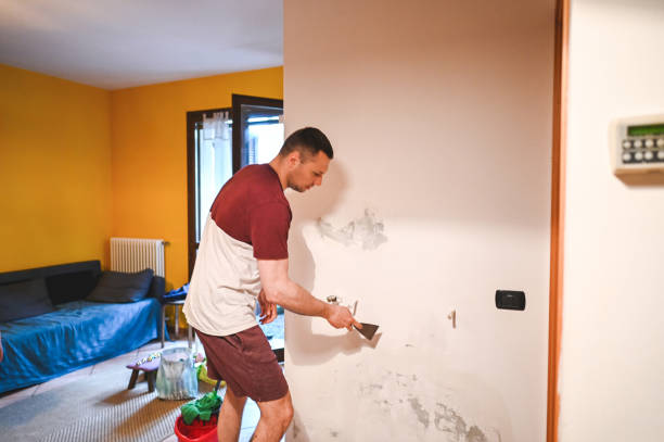 Mold Testing and Removal in Thompson Falls, MT